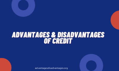Advantages and Disadvantages of Credit