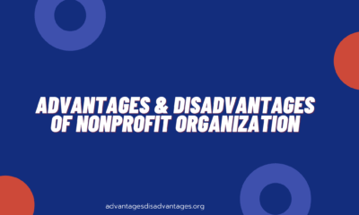 Advantages and Disadvantages of Nonprofit Organization