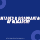 Advantages and Disadvantages of Oligarchy