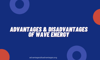 Advantages and Disadvantages of Wave Energy