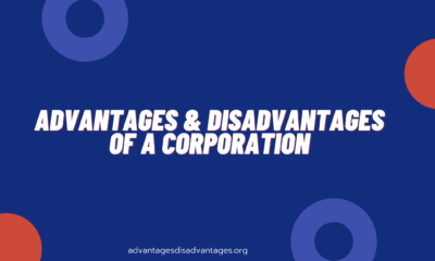 Advantages and Disadvantages of a Corporation