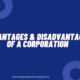 Advantages and Disadvantages of a Corporation