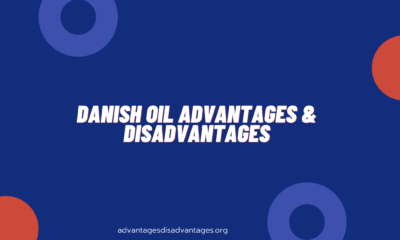 Danish Oil Advantage and Disadvantage