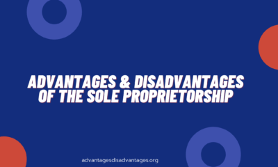 Sole Proprietorship