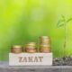 types of Zakat