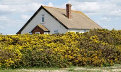 Things to do before a chimney repair