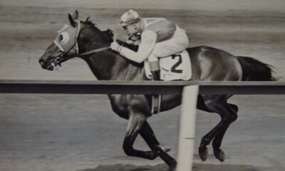 Racehorse Timeline: The Life Of A Racehorse