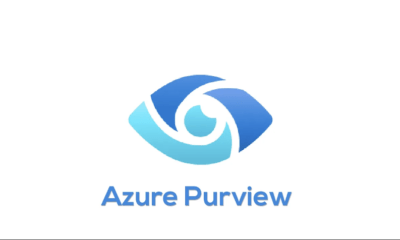 All You Need to Know about Azure Purview