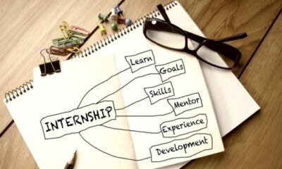 What Are The Advantages and Disadvantages Of Externships For Your Professional Career?