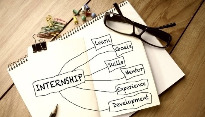 What Are The Advantages and Disadvantages Of Externships For Your Professional Career?