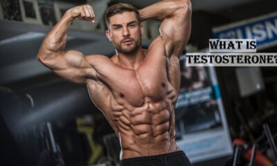 Testosterone Hormone and Its Role in the Body