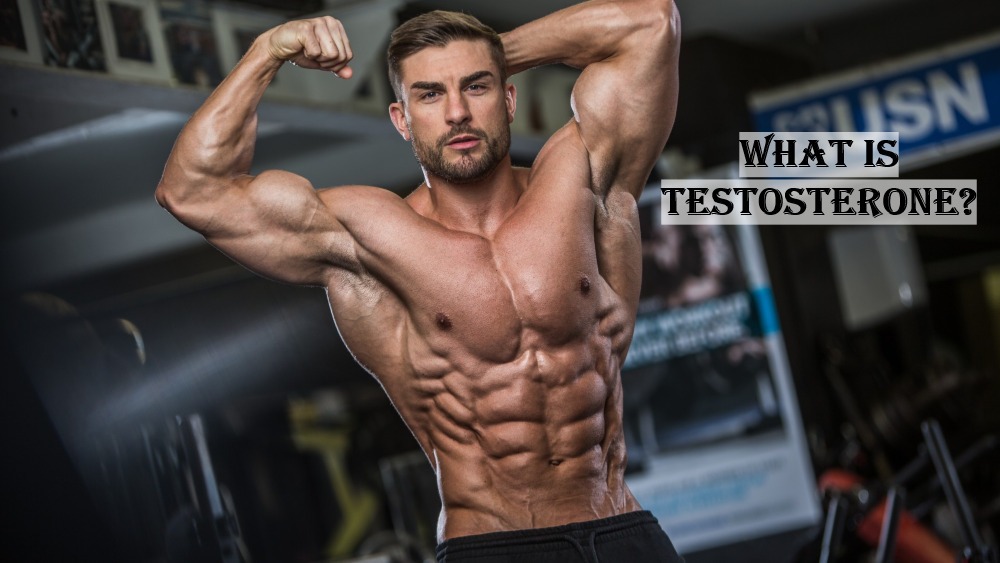 Testosterone Hormone and Its Role in the Body