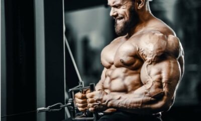 Best Foods That Help Boost Testosterone Levels