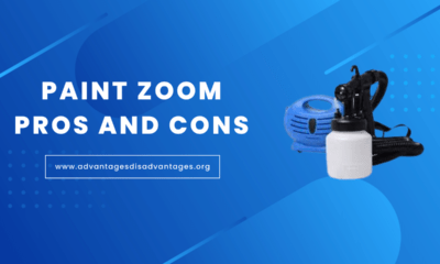 Paint Zoom Pros and Cons