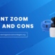 Paint Zoom Pros and Cons
