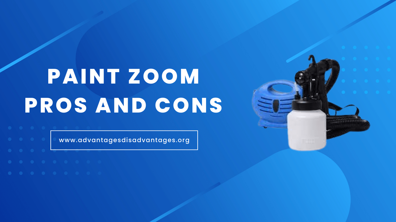 Paint Zoom Pros and Cons