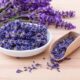 Smoking Lavender: Pros and Cons