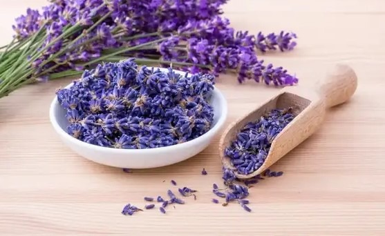 Smoking Lavender: Pros and Cons