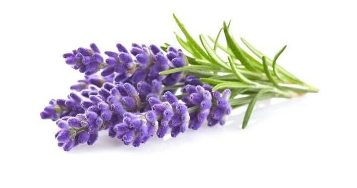 What are some alternative ways to use lavender for its health benefits besides smoking?
