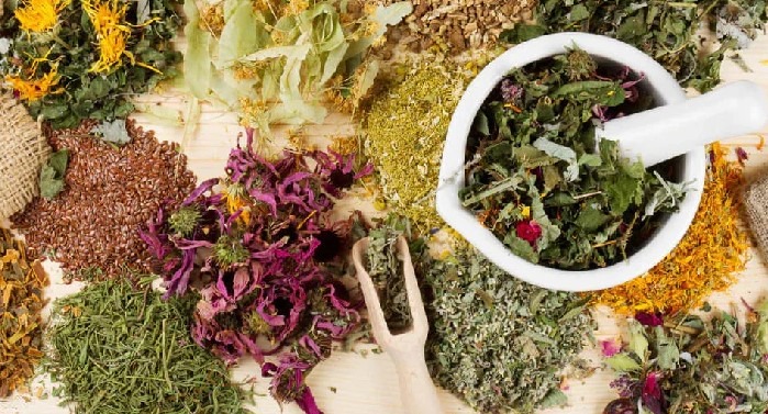 What are the best herbs to smoke instead of tobacco, including lavender?