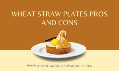 Wheat Straw Plates Pros and Cons
