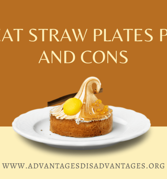 Wheat Straw Plates Pros and Cons