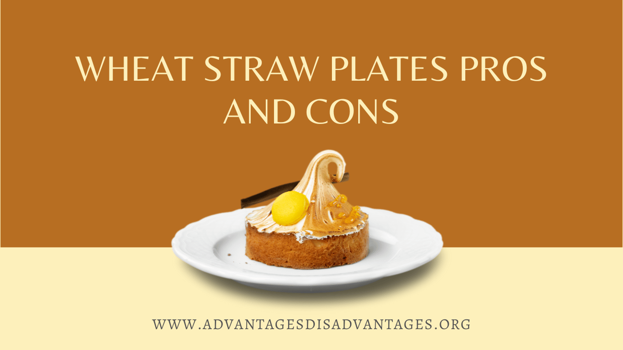 Wheat Straw Plates Pros and Cons