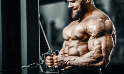 Protein Secrets for Hardcore Bodybuilding Success