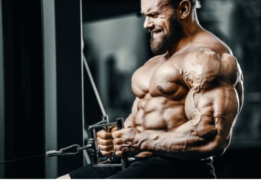 Protein Secrets for Hardcore Bodybuilding Success