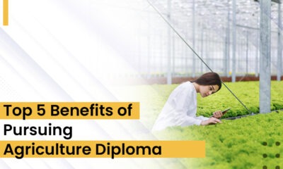 Agriculture Diploma