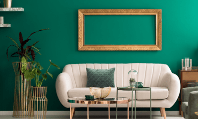 Bringing Walls to Life with Berger Paints Colour Catalogue and Shades